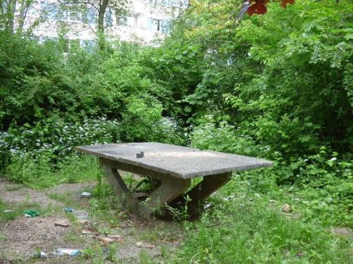 Tischtennisplatte im Grünen