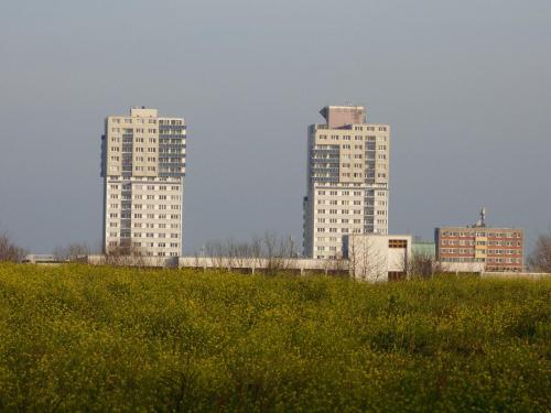Blick auf Halle Neustadt 