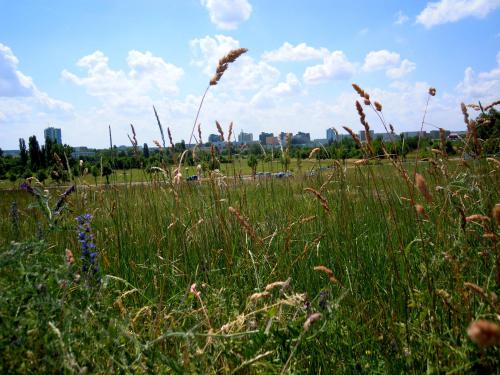 Blick vom Weinbergcampus