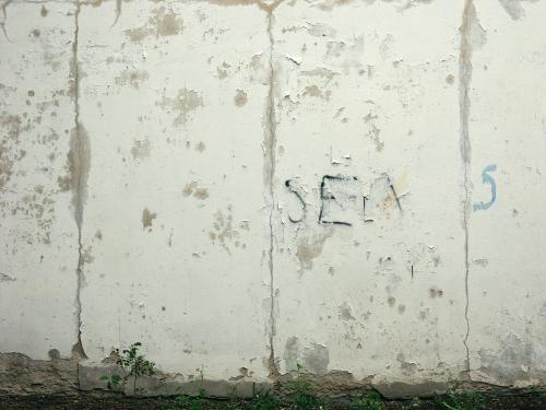 Sex