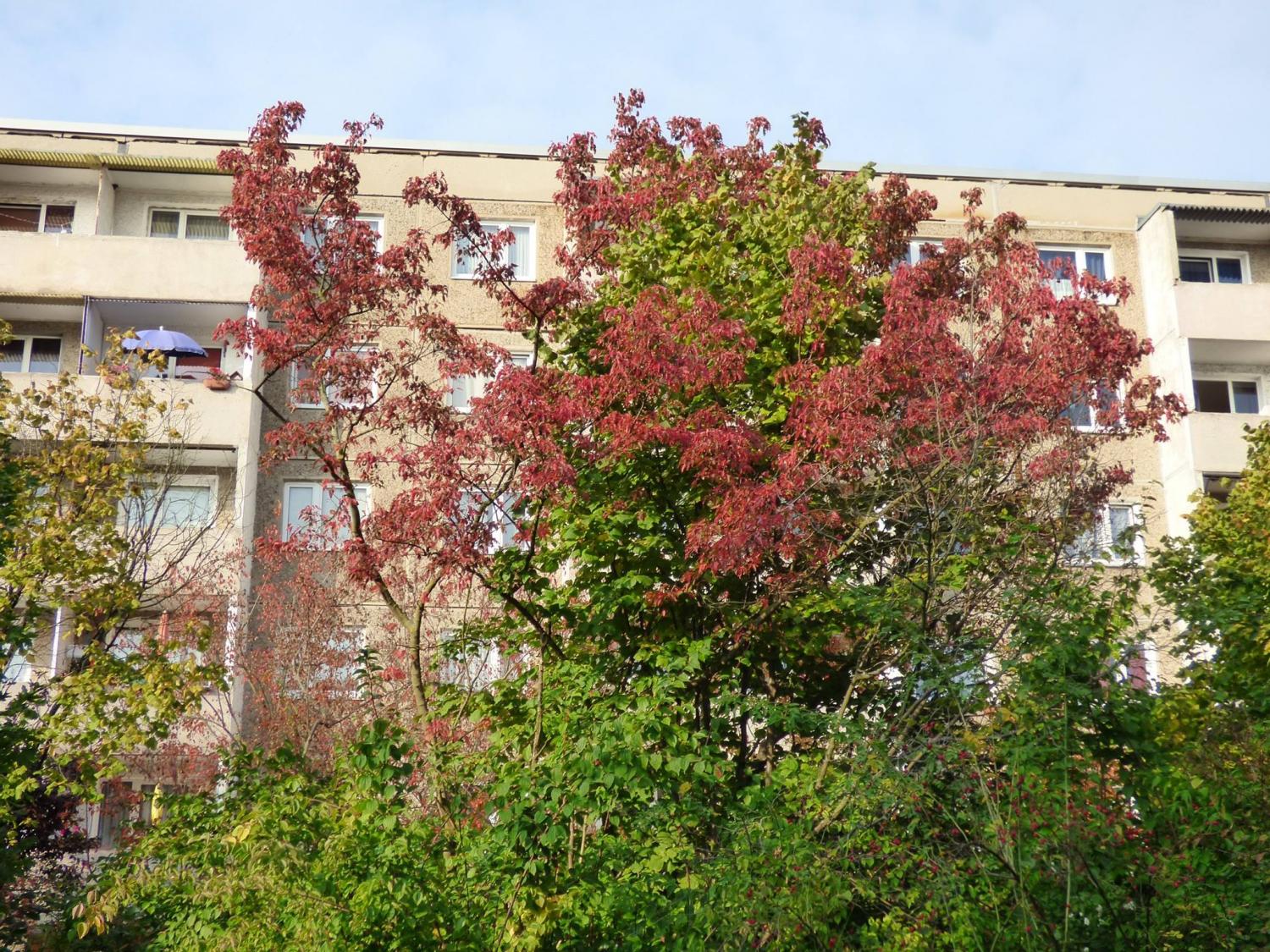 Herbstanfang 
