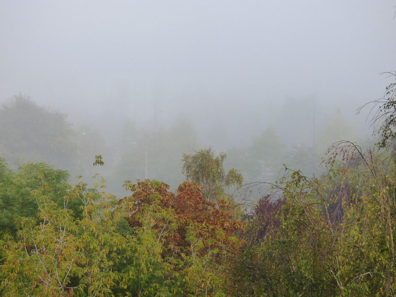Ha-Neu im Nebel am Sonntag Früh