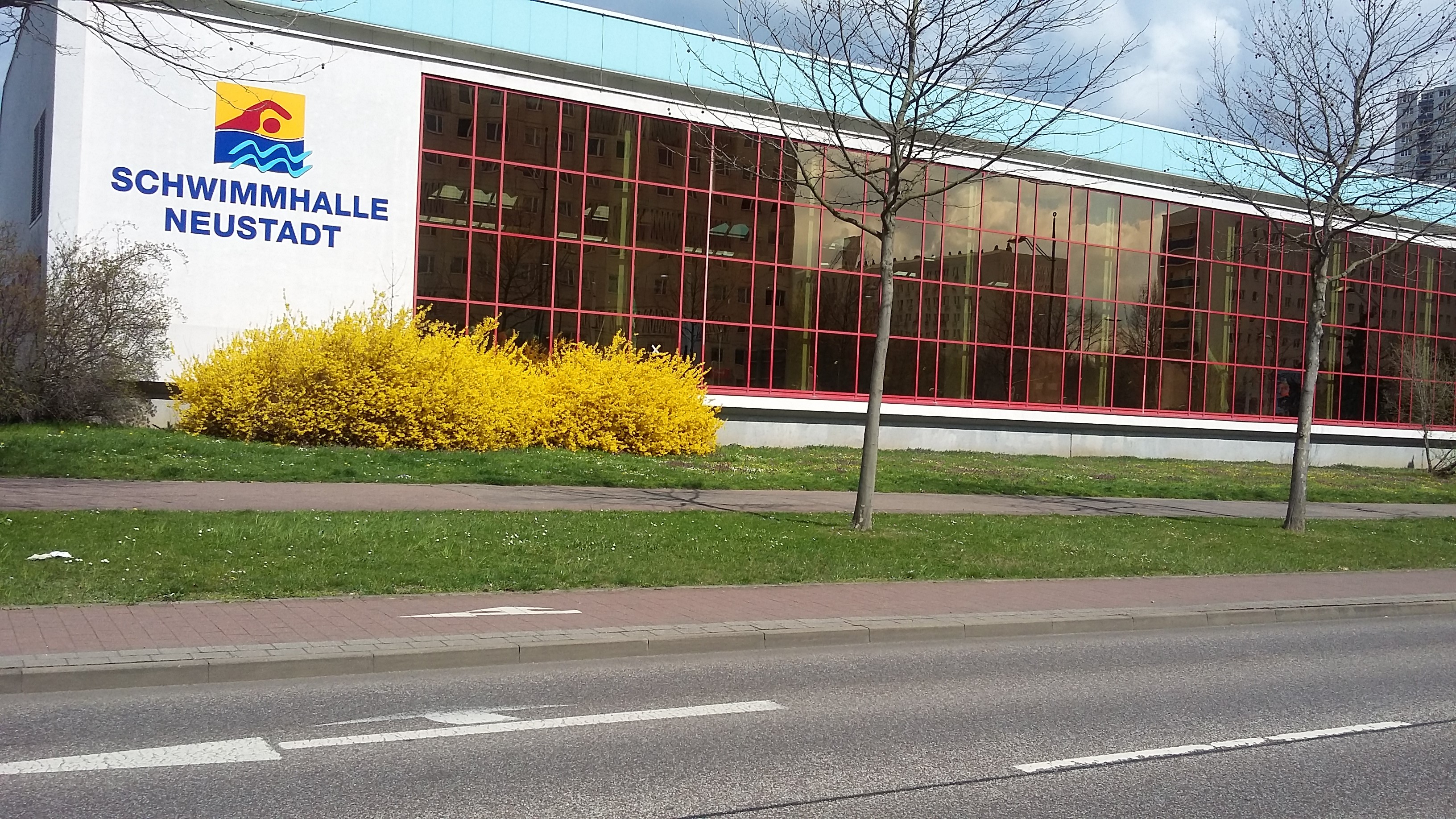 Unsere Schwimmhalle mit Forsythienstrauch
