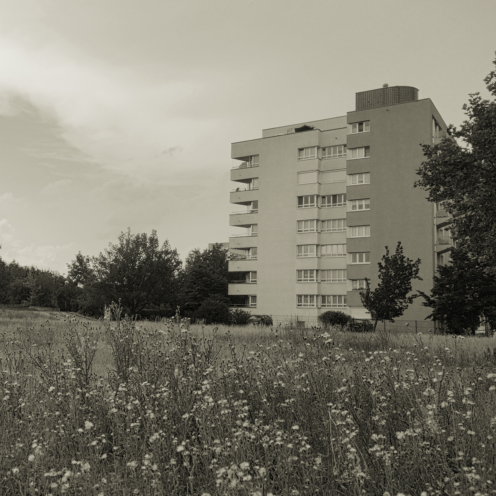 Halle-Neustadt