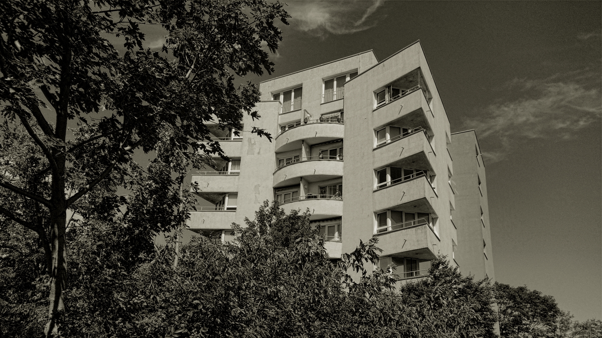 Halle Neustadt