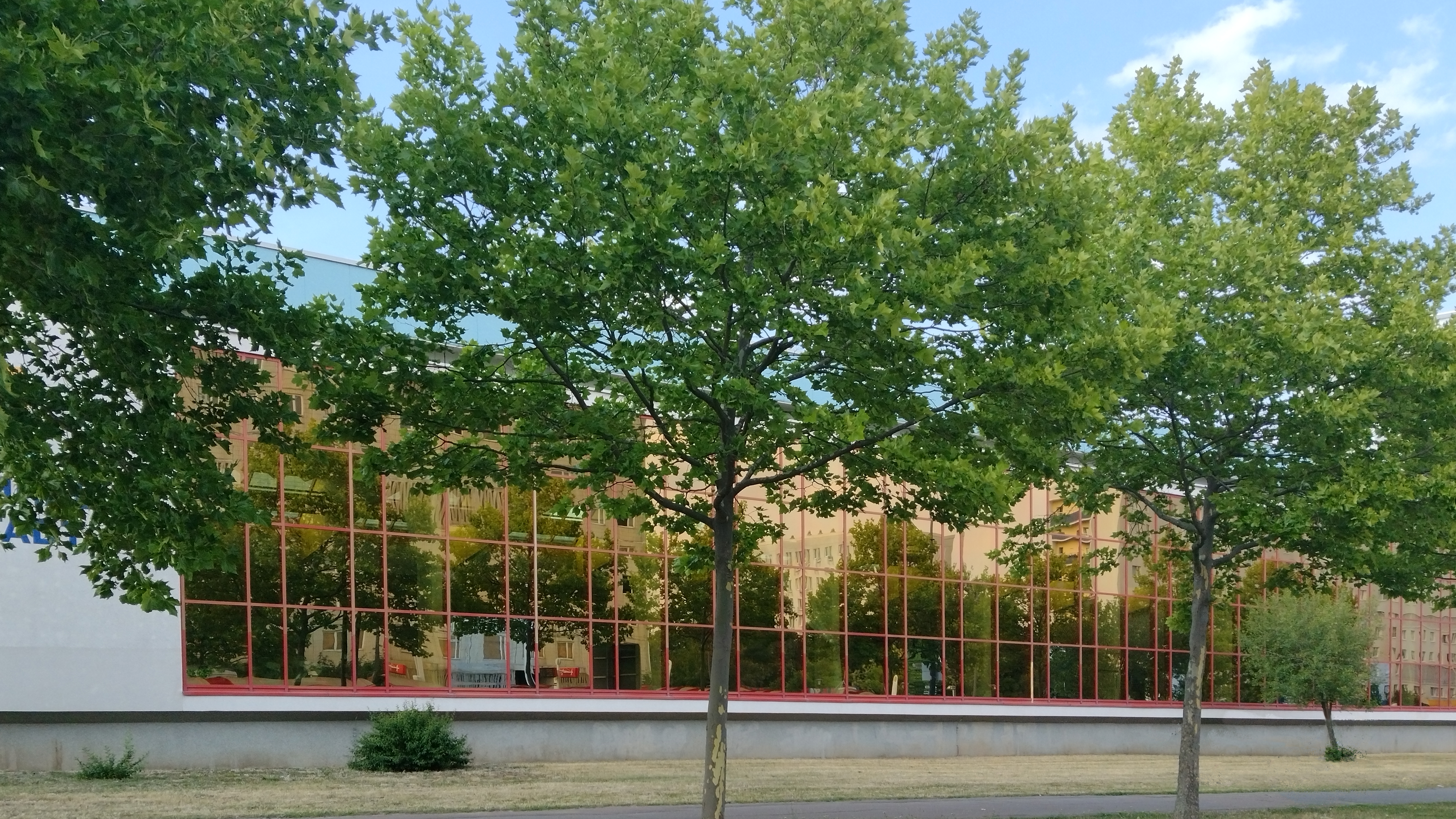 Schwimmhalle
