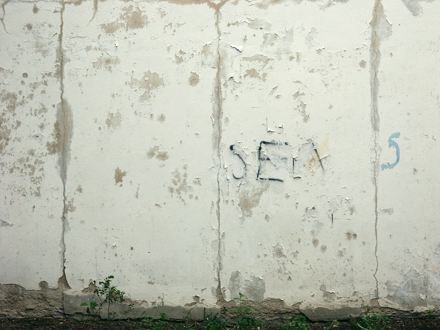 Sex